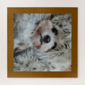 Sweet dog, puppy legpuzzel (Horizontaal)