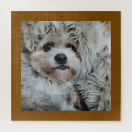 Sweet dog, puppy legpuzzel
