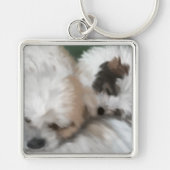 Sweet dogs, sleutelhanger (Voorkant)