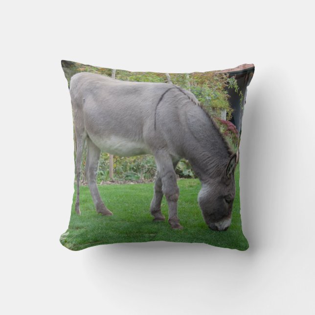 Sweet Donkey in de tuin Kussen (Voorkant)