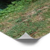 Sweet Donkey in de tuin Poster (Hoek)