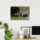 Sweet Donkey in de tuin Poster (Thuiskantoor)