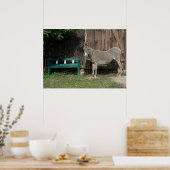 Sweet Donkey in de tuin Poster (Keuken)