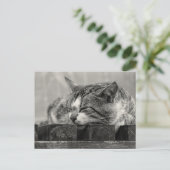 Sweet Dream Briefkaart (Staand voorkant)