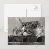 Sweet Dream Briefkaart (Voorkant / Achterkant)
