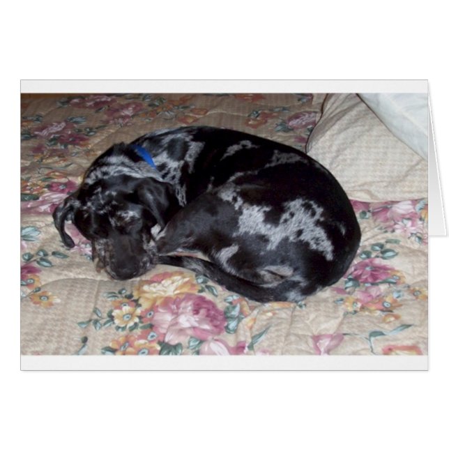 Sweet Dreams  (Voorkant Horizontaal)