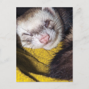 Sweet Dreams Briefkaart