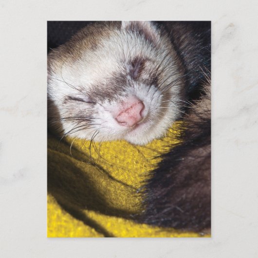 Sweet Dreams Briefkaart (Voorkant)