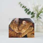 Sweet Dreams Briefkaart (Staand voorkant)