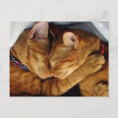 Sweet Dreams Briefkaart (Voorkant)