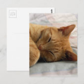 Sweet Dreams Briefkaart (Voorkant / Achterkant)