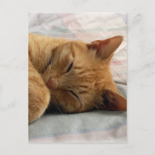 Sweet Dreams Briefkaart