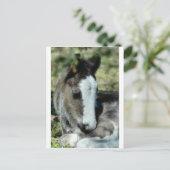 Sweet Dreams Briefkaart (Staand voorkant)