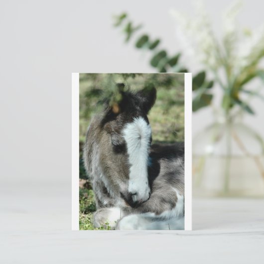 Sweet Dreams Briefkaart (Staand voorkant)