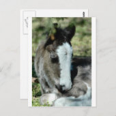 Sweet Dreams Briefkaart (Voorkant / Achterkant)