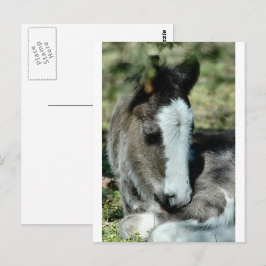 Sweet Dreams Briefkaart (Voorkant / Achterkant)