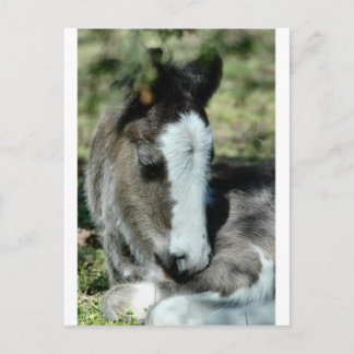 Sweet Dreams Briefkaart