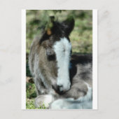 Sweet Dreams Briefkaart (Voorkant)