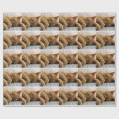 Sweet Dreams Cadeaupapier (Vlak)