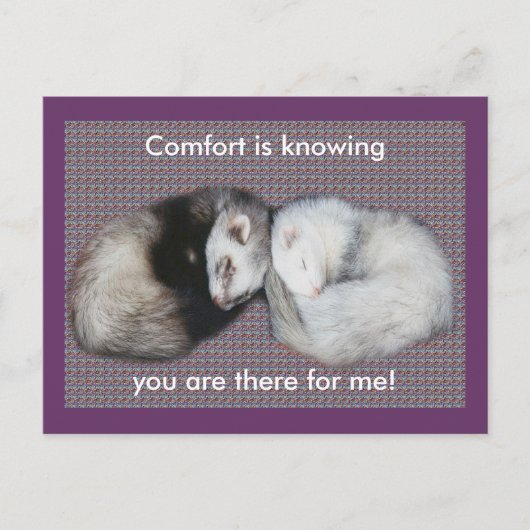 Sweet Dreams Ferret Briefkaart (Voorkant)