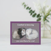 Sweet Dreams Ferret Briefkaart (Staand voorkant)