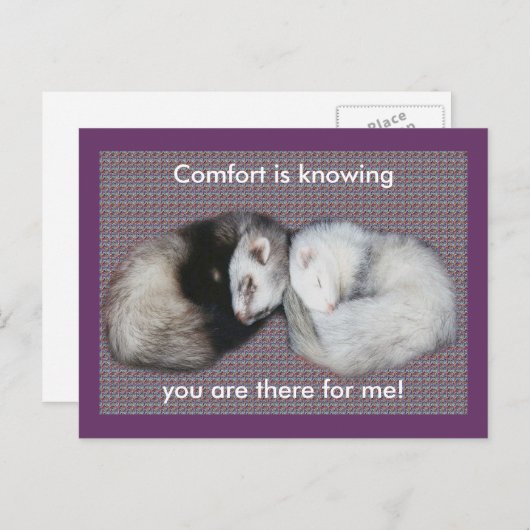 Sweet Dreams Ferret Briefkaart (Voorkant / Achterkant)