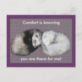 Sweet Dreams Ferret Briefkaart (Voorkant)