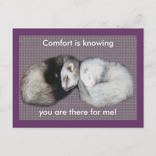 Sweet Dreams Ferret Briefkaart (Voorkant)