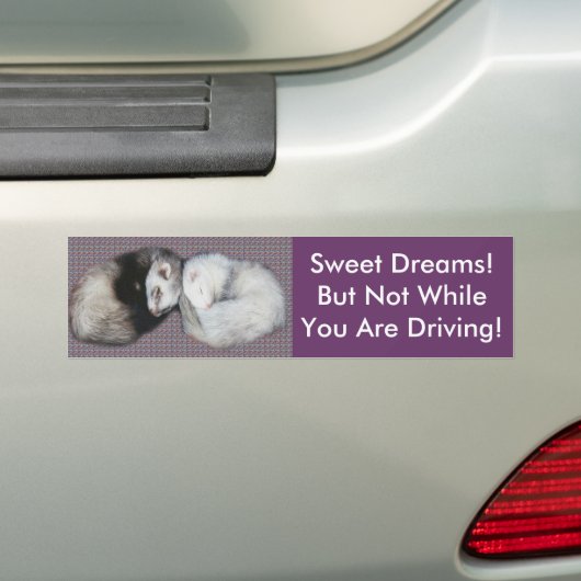 Sweet Dreams Ferret Bumpersticker (Op auto)