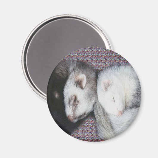 Sweet Dreams Ferret Magnet (Voorkant / Achterkant)