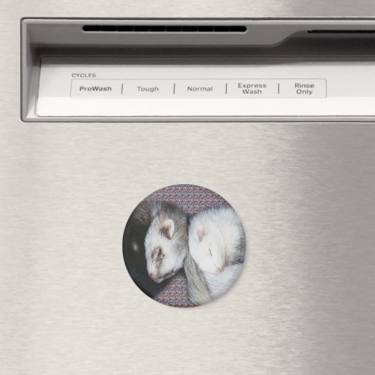 Sweet Dreams Ferret Magnet (Insitu (Vaatwasser))