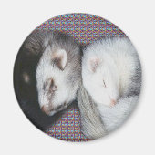 Sweet Dreams Ferret Magnet (Voorkant)