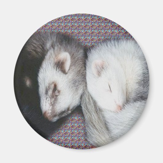 Sweet Dreams Ferret Magnet (Voorkant)