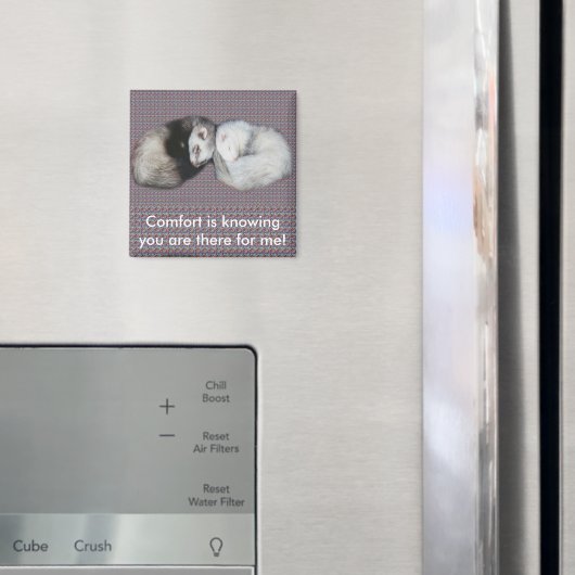 Sweet Dreams Ferret Magnet (Insitu (Koelkast))