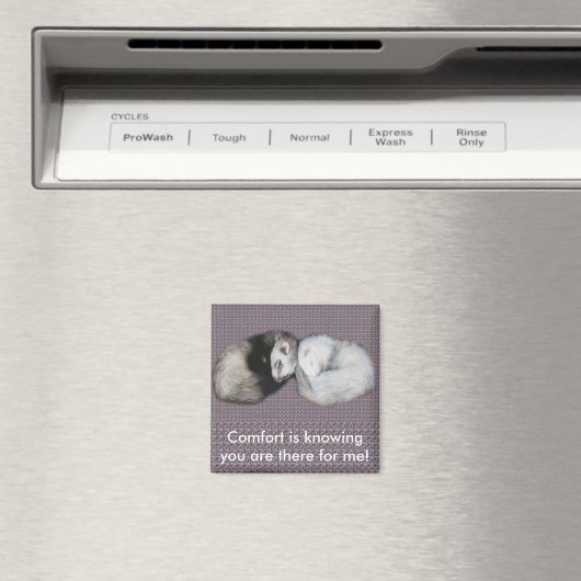 Sweet Dreams Ferret Magnet (Insitu (Vaatwasser))