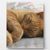 Sweet Dreams Fotoplaat (Voorkant)