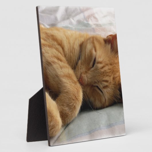 Sweet Dreams Fotoplaat (Zijkant)