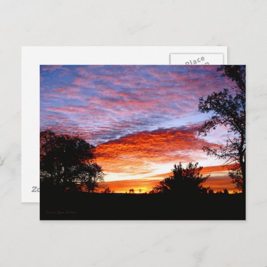 Sweet Dreams Kodi Briefkaart (Voorkant / Achterkant)