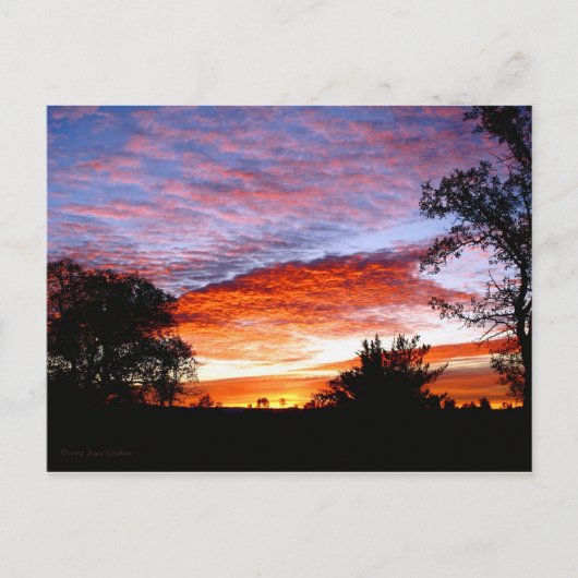 Sweet Dreams Kodi Briefkaart (Voorkant)