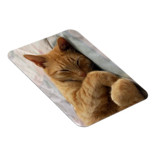 Sweet Dreams Magneet (Rechterzijde)