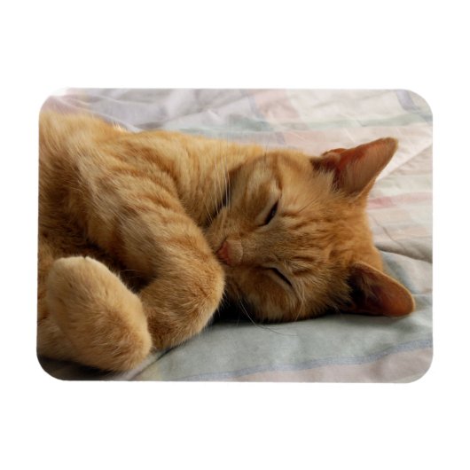 Sweet Dreams Magneet (Horizontaal)