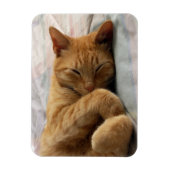 Sweet Dreams Magneet (Verticaal)