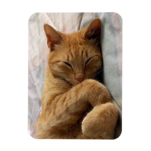 Sweet Dreams Magneet (Verticaal)