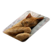 Sweet Dreams Magneet (Linkerzijde)