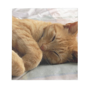 Sweet Dreams Notitieblok