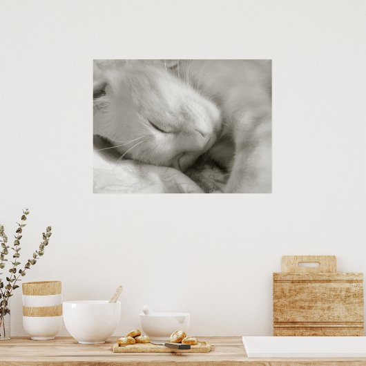 Sweet Dreams - poster (Keuken)