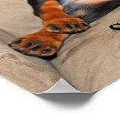 Sweet Dreams Poster (Hoek)