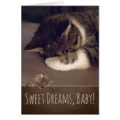 Sweet Dreams Slapen Kat (tekst aanpasbaar) (Voorkant)