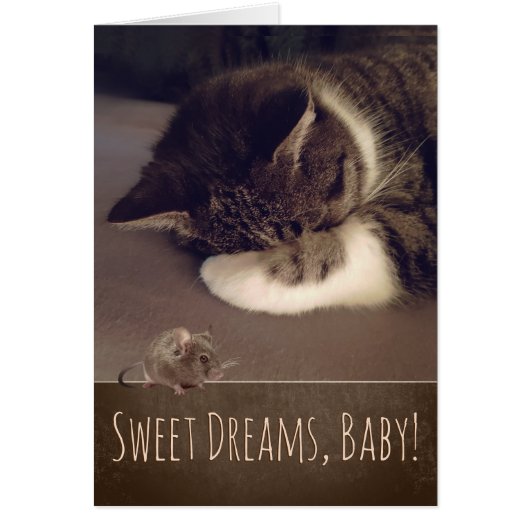 Sweet Dreams Slapen Kat (tekst aanpasbaar) (Voorkant)