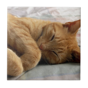 Sweet Dreams Tegeltje